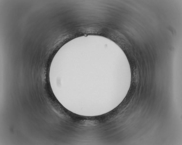 X0000114240255200911061554