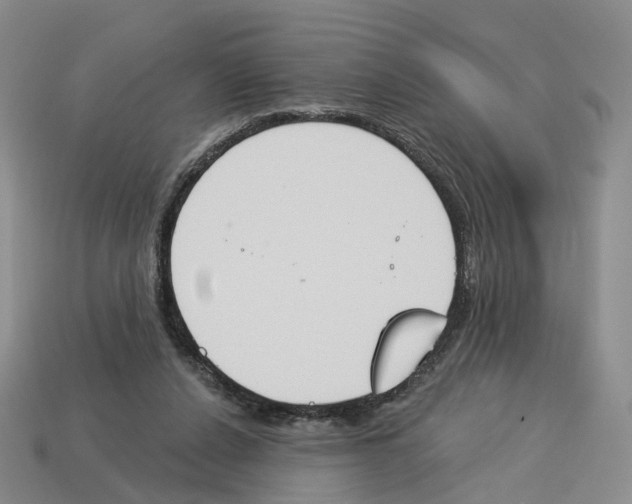 X0000114240256200911061554