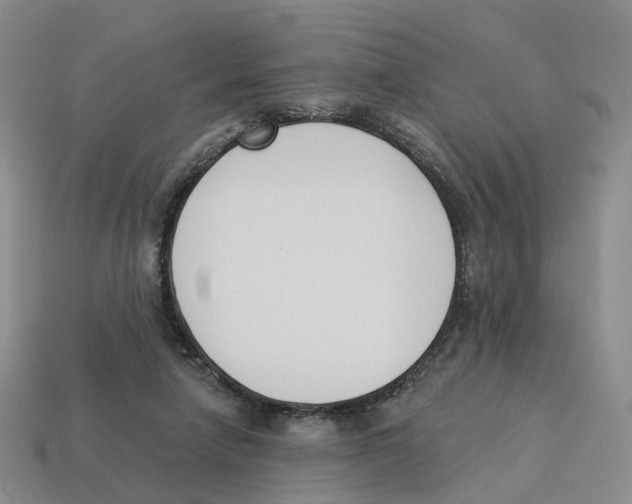 X0000114240258200911061554