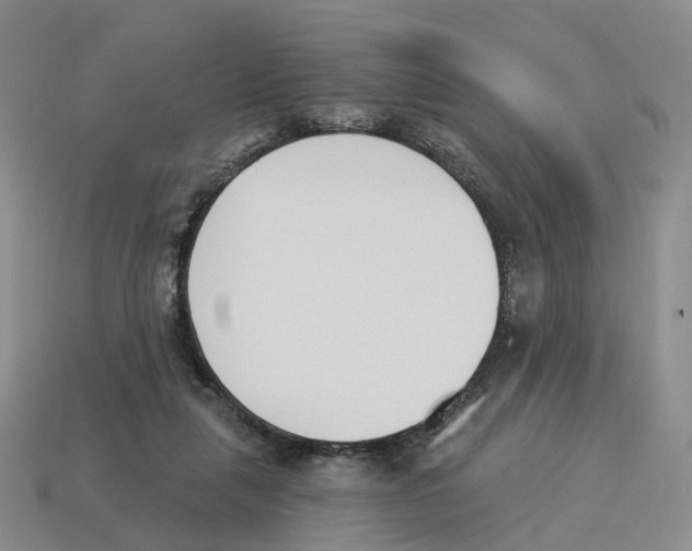 X0000114240259200911061554