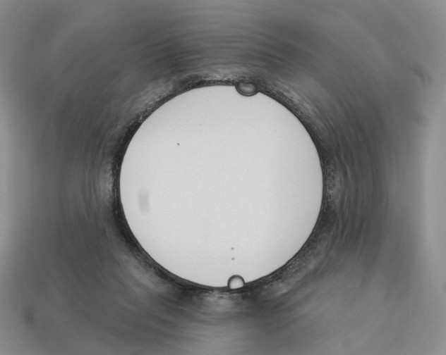 X0000114240261200911061554