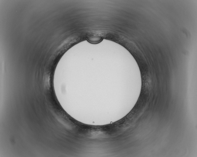 X0000114240262200911061554