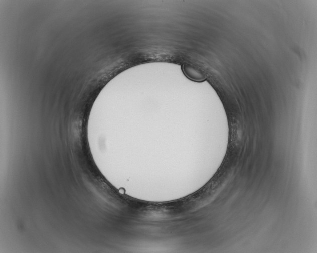 X0000114240263200911061554