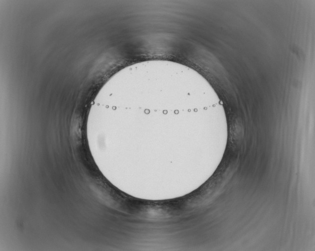 X0000114240264200911061554