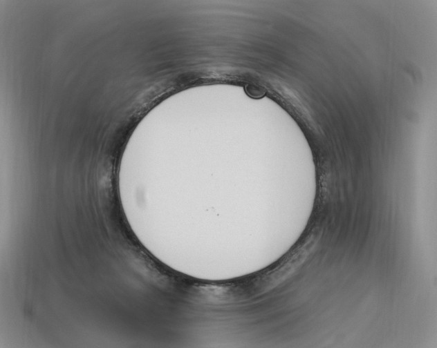 X0000114240265200911061554