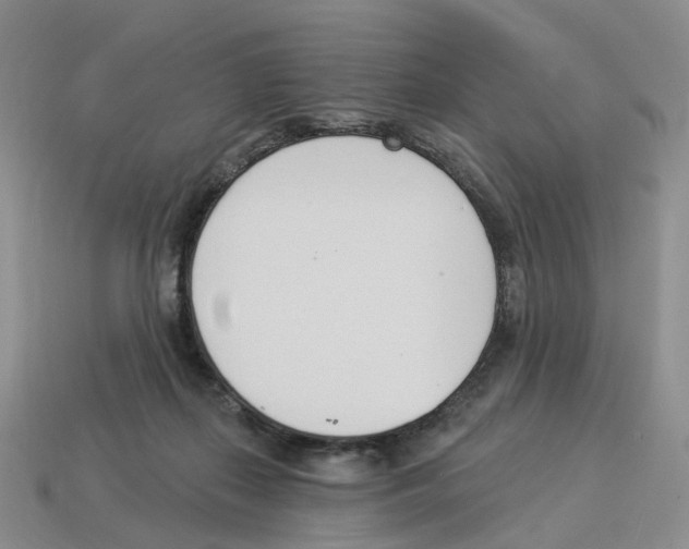 X0000114240267200911061554