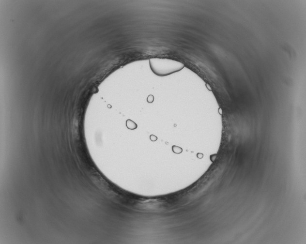 X0000114240269200911061554