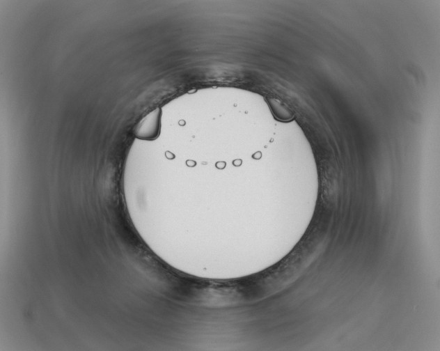 X0000114240270200911061554