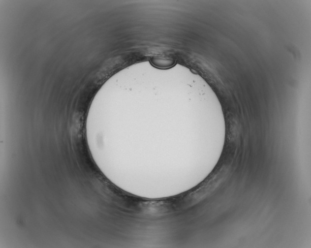 X0000114240273200911061554