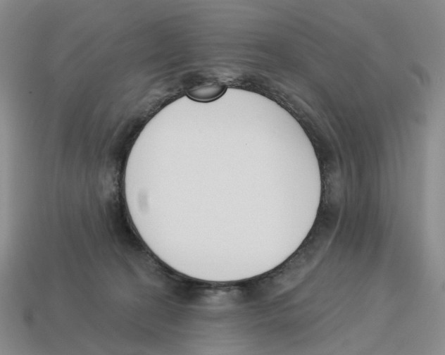 X0000114240274200911061554