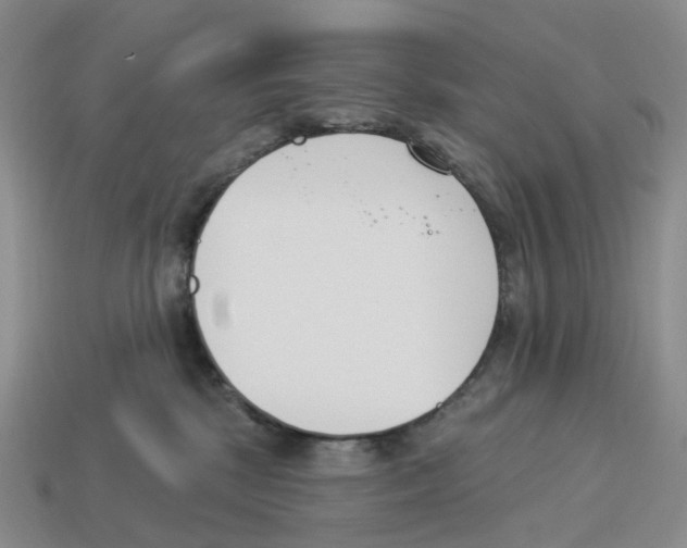 X0000114240281200911061554