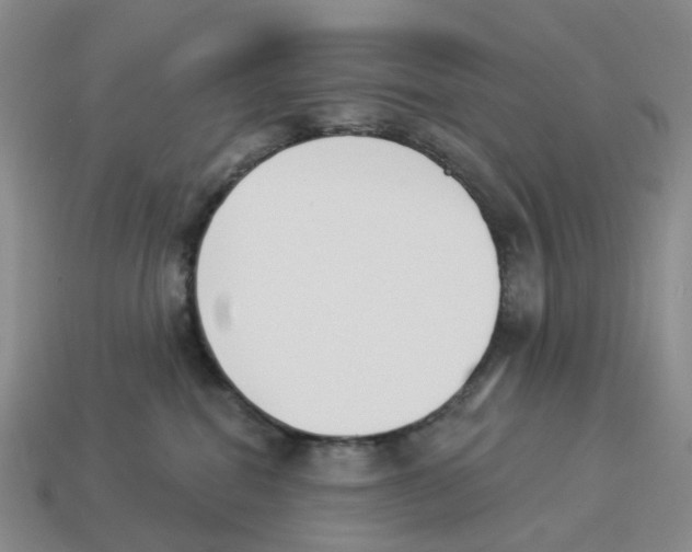 X0000114240282200911061554