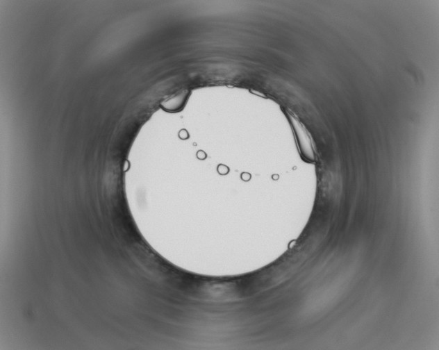 X0000114240283200911061554