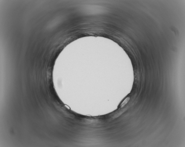 X0000114240284200911061554