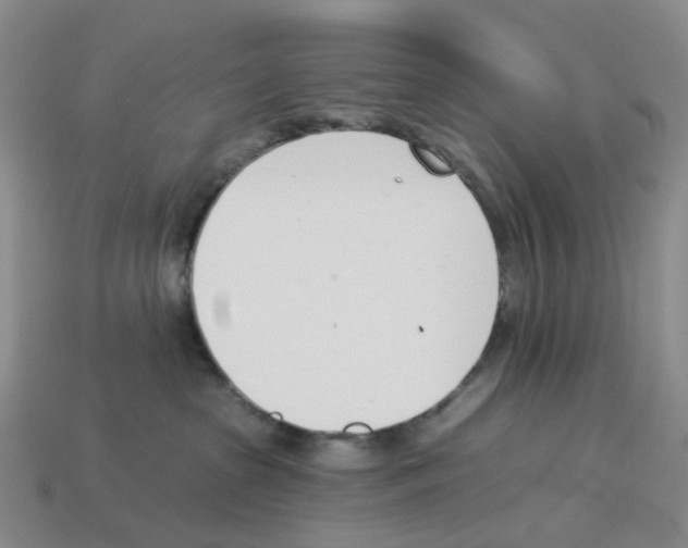 X0000114240285200911061554