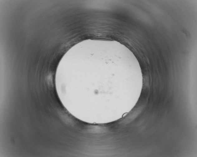 X0000114240286200911061554