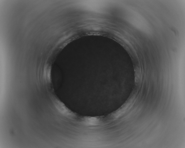 X0000114240287200911061554