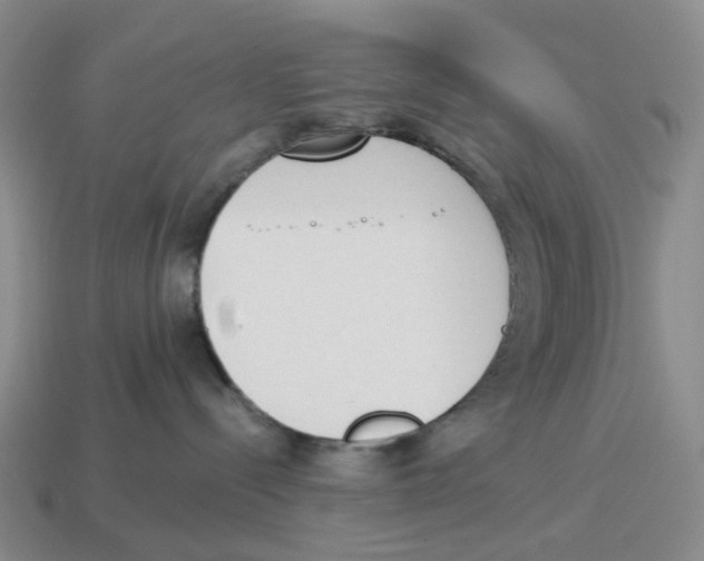 X0000114240288200911061554