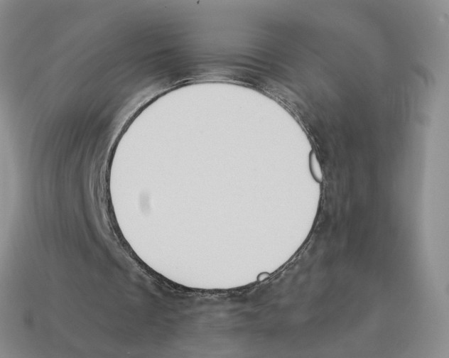 X0000114240289200911061554