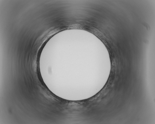 X0000114240290200911061554