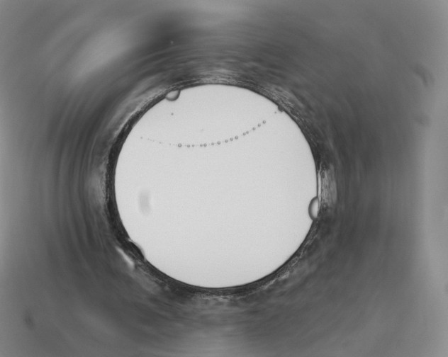 X0000114240291200911061554