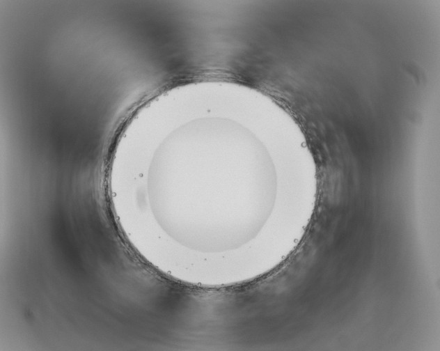 X0000114240293200911061554