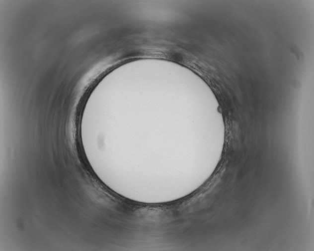 X0000114240294200911061554