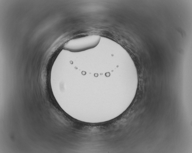 X0000114240295200911061553