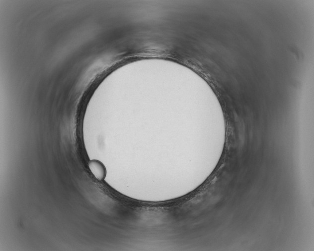 X0000114240296200911061553