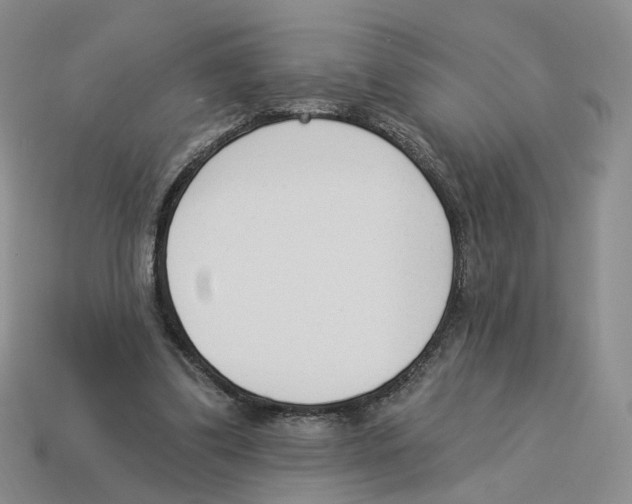 X0000114240299200911061553