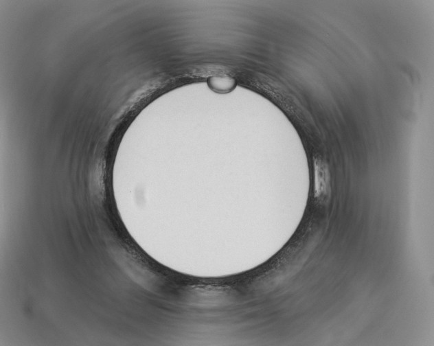 X0000114240300200911061553