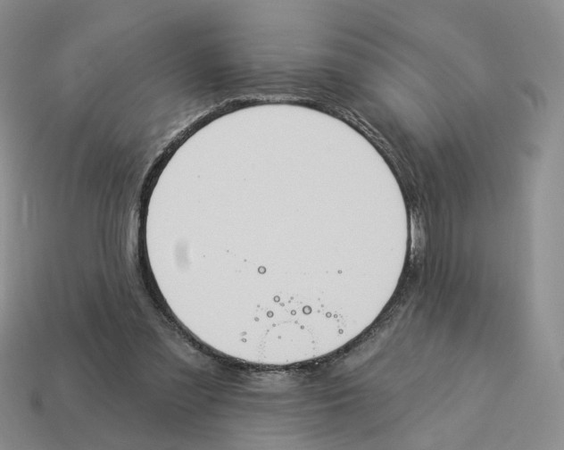 X0000114240301200911061553