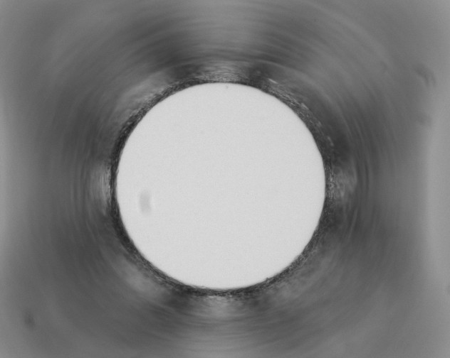 X0000114240302200911061553