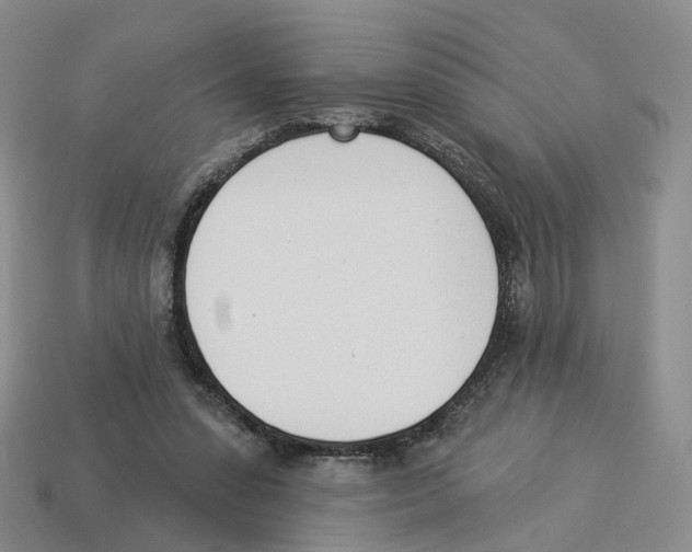 X0000114240303200911061553