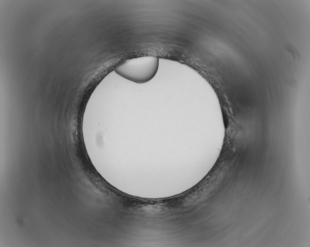 X0000114240306200911061553