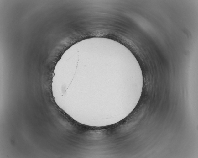 X0000114240307200911061553