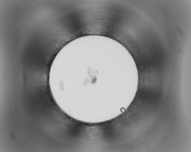 X0000114240309200911061553