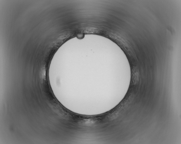 X0000114240310200911061553