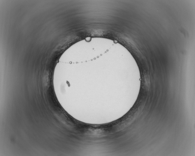 X0000114240311200911061553