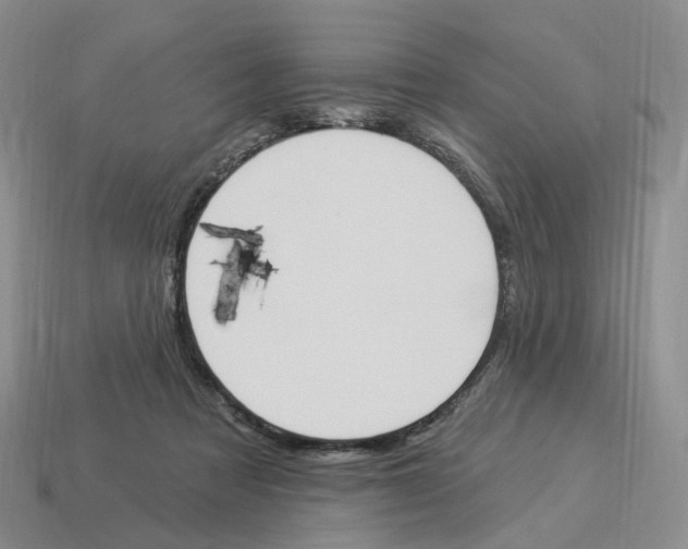 X0000114240313200911061553