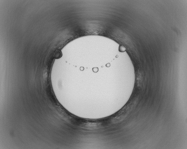 X0000114240314200911061553