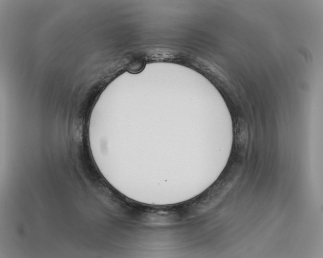 X0000114240315200911061553