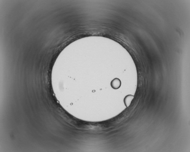 X0000114240317200911061553