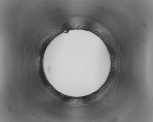 X0000114240319200911061553