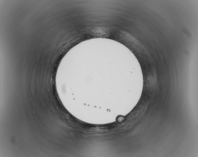 X0000114240320200911061553