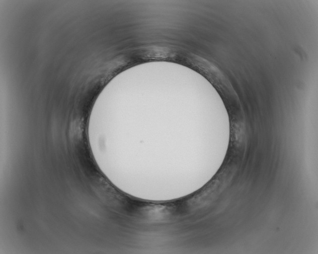 X0000114240326200911061553