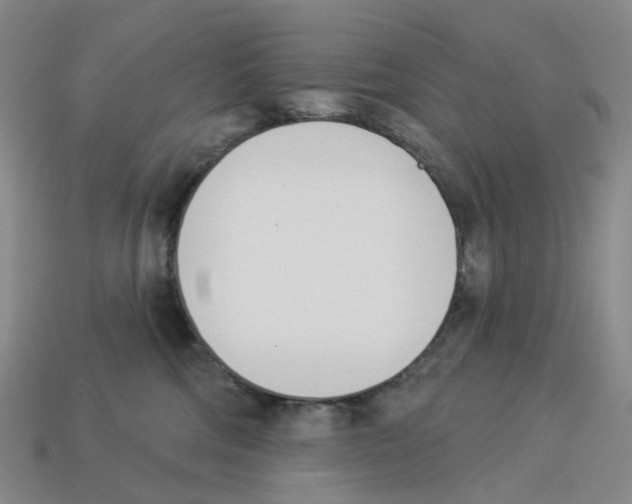 X0000114240330200911061553