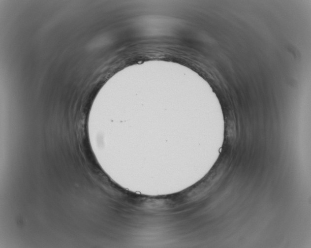 X0000114240332200911061553