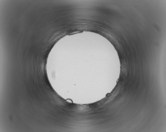 X0000114240333200911061553