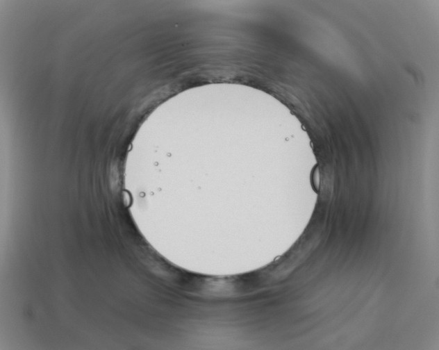 X0000114240335200911061553